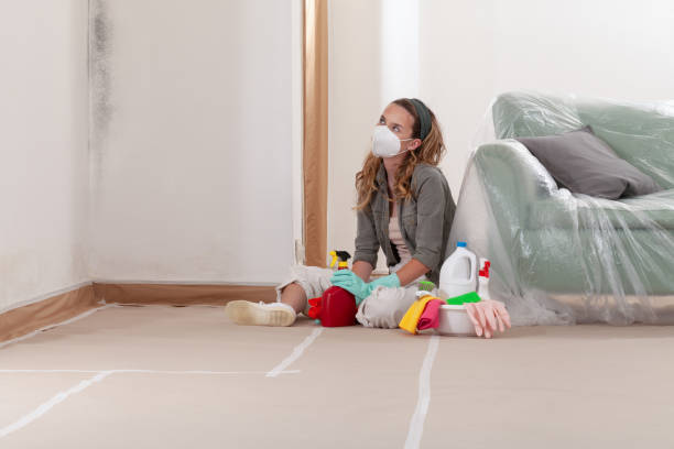 Reliable Mold Remediation contractor in Alamance, NC by WQB Mold Removal
